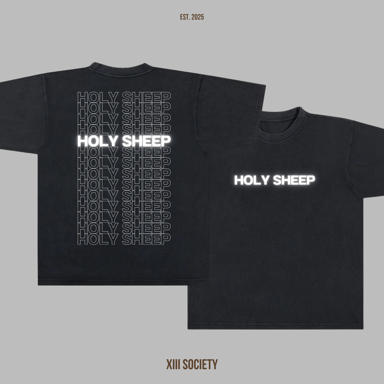 Holy Sheep! Flock Together
