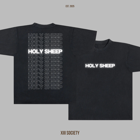 Holy Sheep! Flock Together